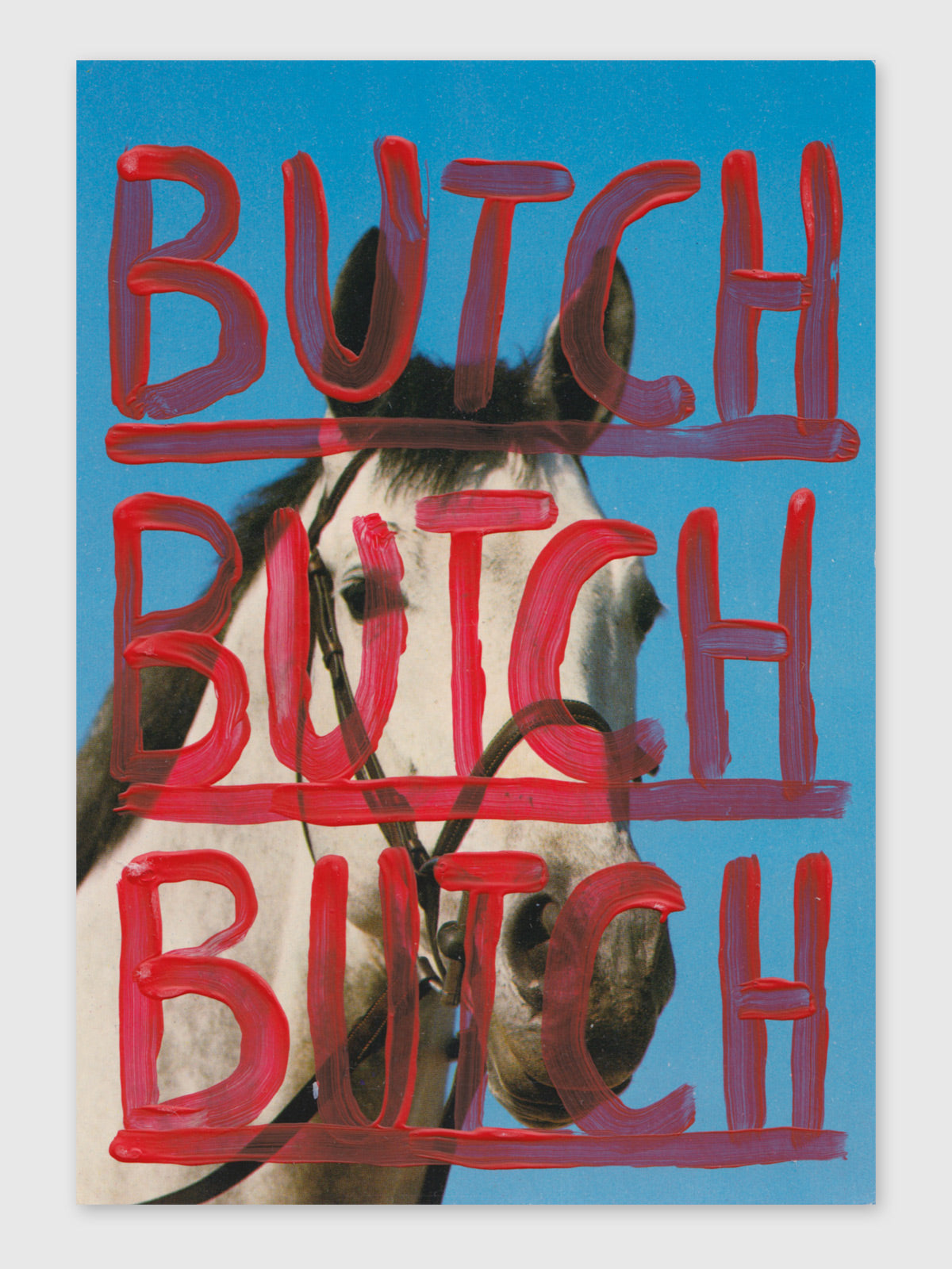 Collage – "Butch"