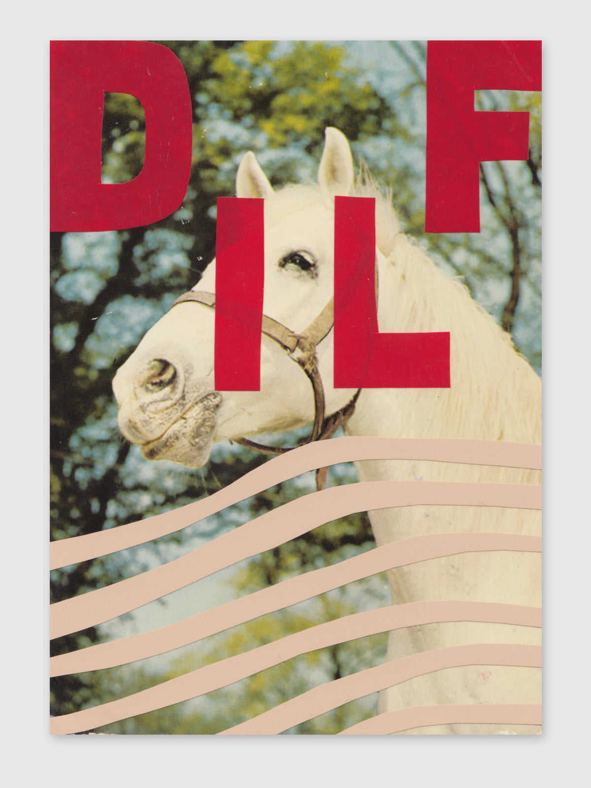 Collage – "DILF"