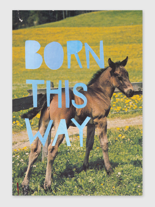 Collage – "Born this way"