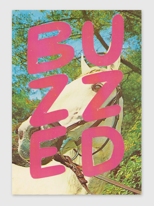 Collage – "Buzzed"