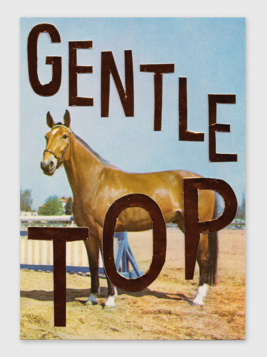 Collage – "Gentle Top"