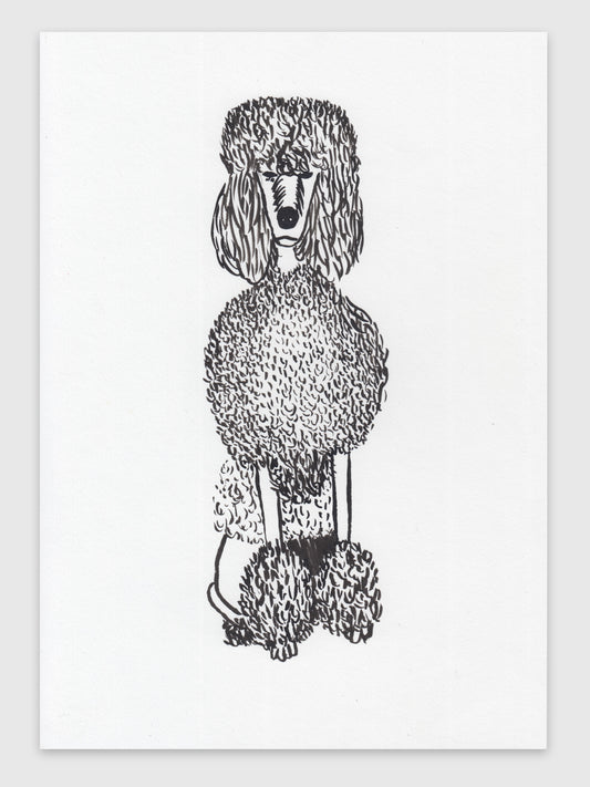 Drawing  – "Pudel"
