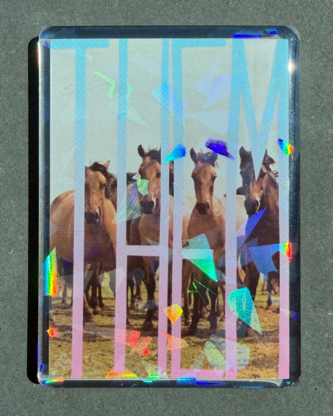 Magnet "Them"