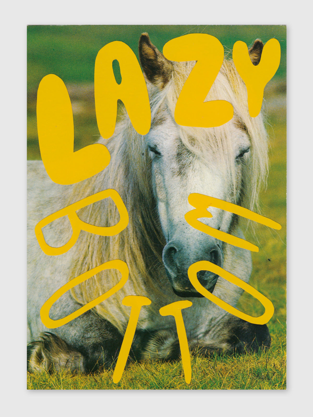 Collage – "Lazy Bottom"