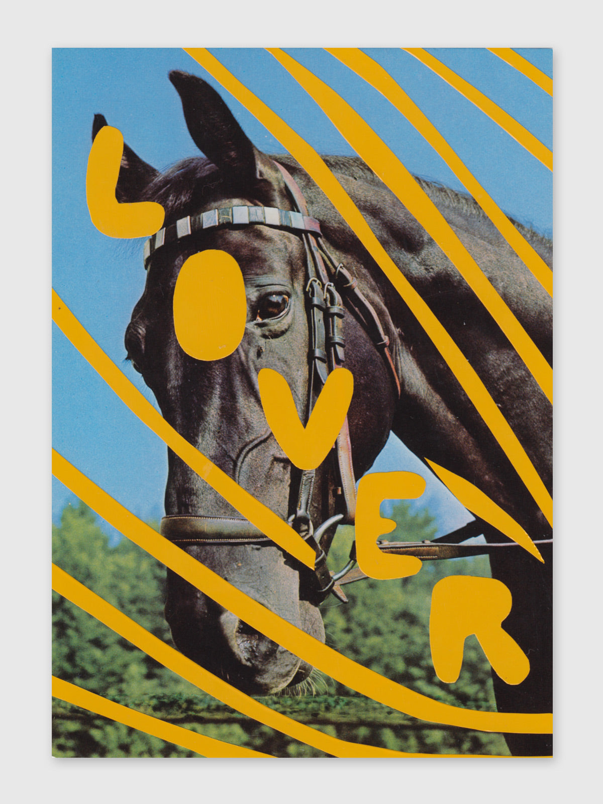 Collage – "Lover"