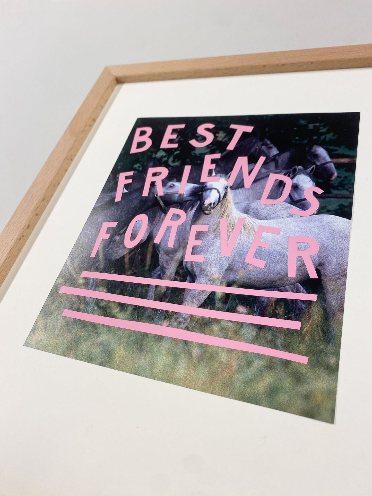 Collage  – "Best friends forever"
