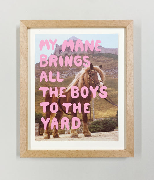 Collage A4 – "My Mane"