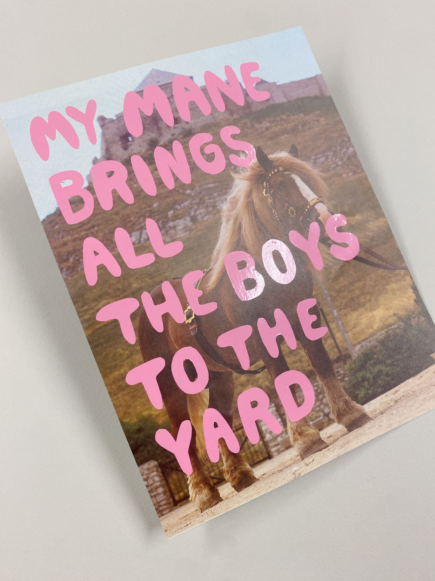 Collage A4 – "My Mane"